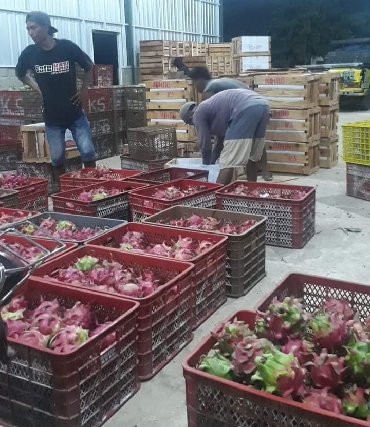 WhatsApp Image 2021-11-06 at 11.47.57 (3)