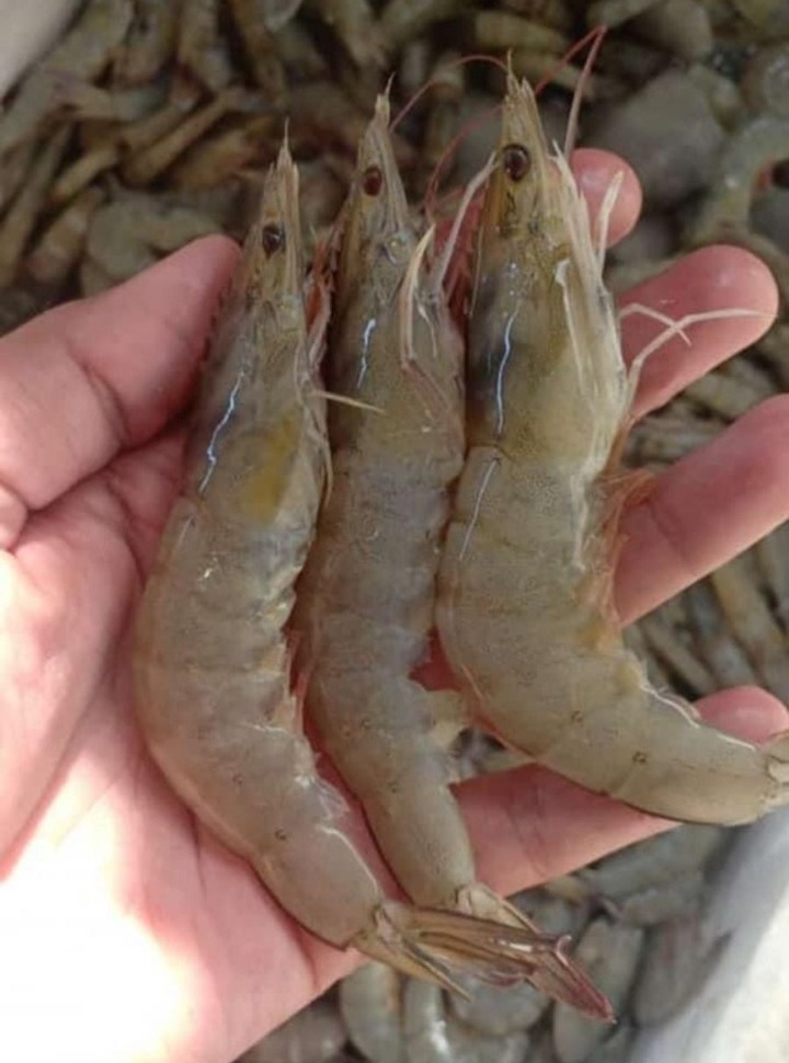 WhatsApp Image 2021-11-14 at 21.14.48 (4)