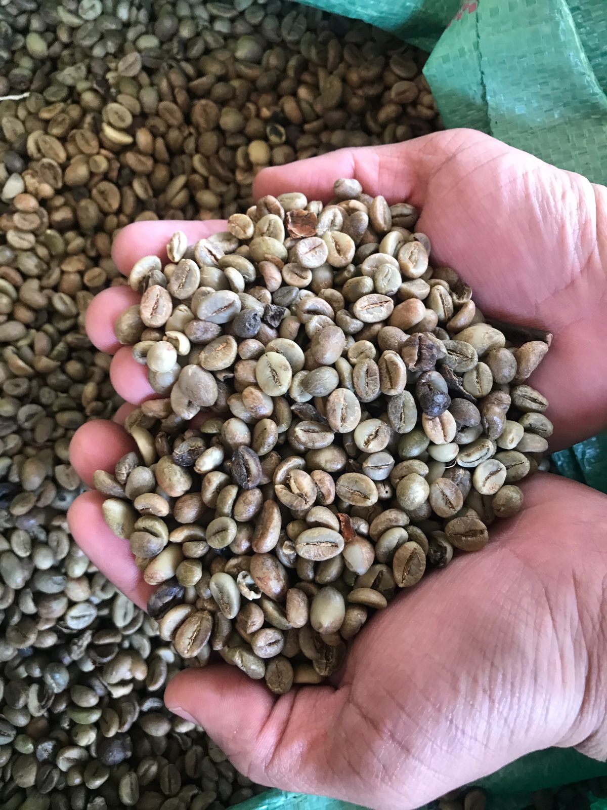 WhatsApp Image 2022-04-19 at 06.19.56